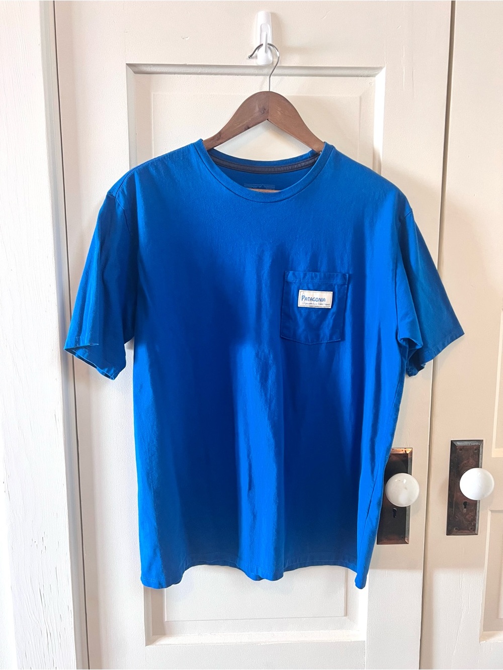 Patagonia Short-Sleeve Pocket Tee in Bright Blue